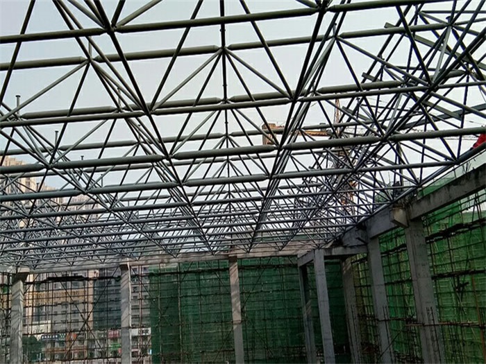 西城光谷第十一小学网架